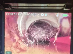 Tree roots in a sewer pipe on a drain camera screen in Bangor