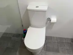 Toilet with a new soft-close seat in Kirrawee