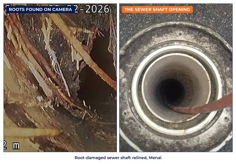 Tree roots inside a sewer shaft on a drain camera, and the shaft opening at a Menai home
