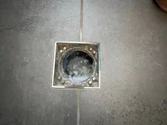 Bathroom floor waste in a Sutherland home after the blockage was cleared