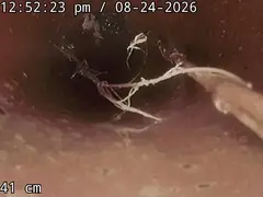 Drain camera view of tree roots in a sewer pipe in Woolooware